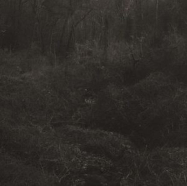 Lesley Mok - Transient (Vinyl)