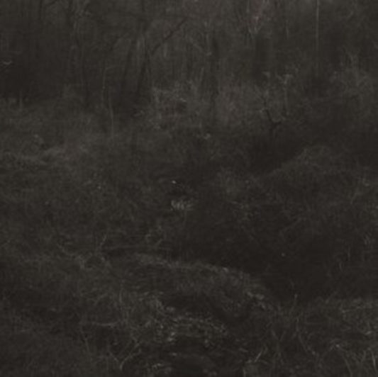 Lesley Mok - Transient (Vinyl)