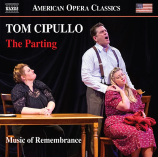 Music Of Remembrance / Willis - Tom Cipullo: The Parting (CD)