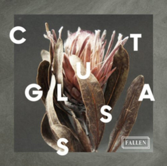 Cut Glass - Fallen (CD)