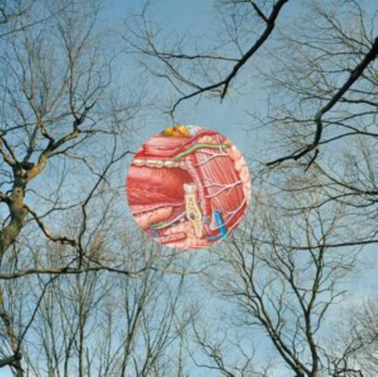They Might Be Giants - Glean (Clear Vinyl With Red Wisps) (Vinyl)