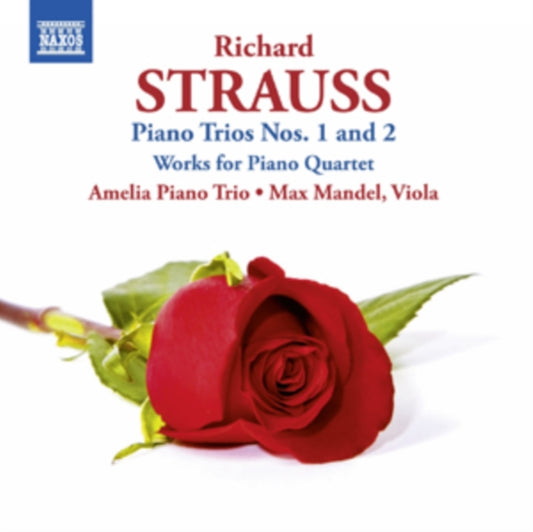 Amelia Piano Triomandel - R Strausspiano Trios 1 2 (CD)