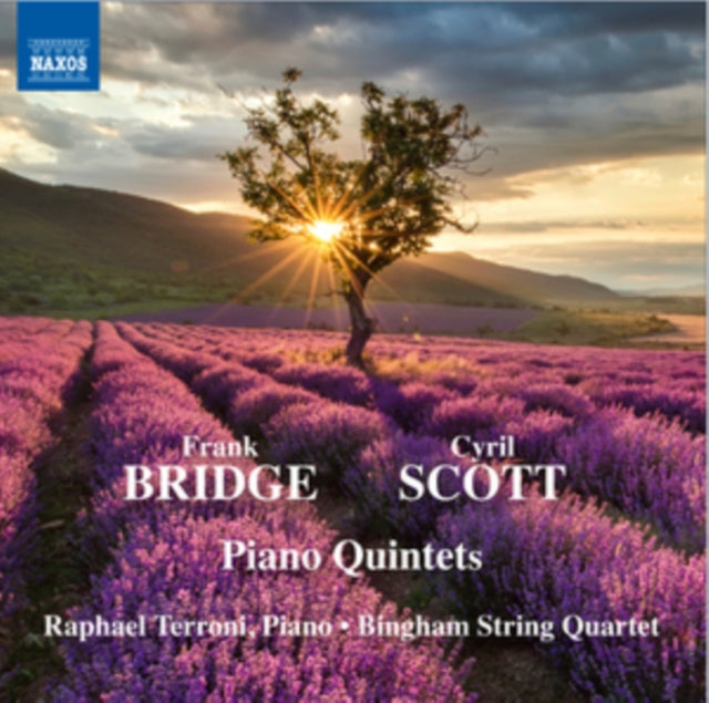 Terronibingham Quartet - Bridgescottpiano Quintets (CD)