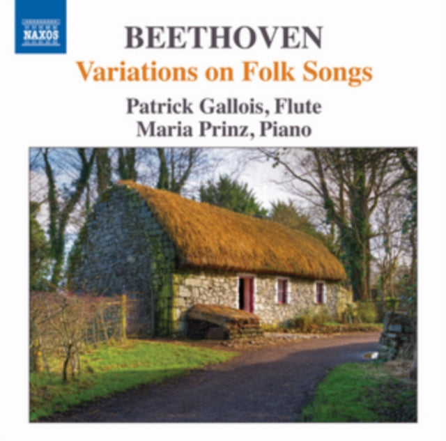 Patrick Galloismaria Prinz - Beethovenvariations On Folk Song (CD)