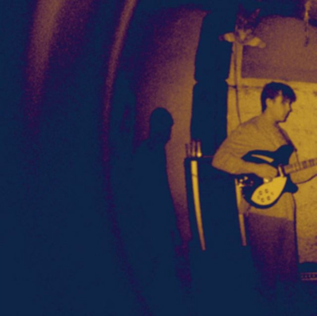 Real Numbers - Wordless Wonder (Vinyl)