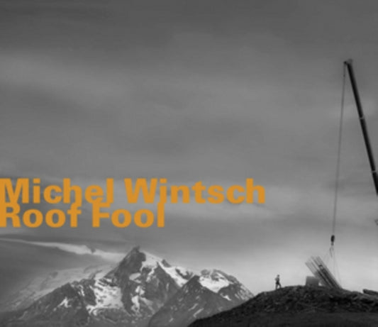 Michel Wintsch - Roof Fool (CD)
