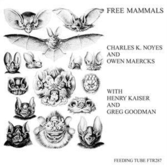 Charles K. Noyes & Orchestra - Free Mammals (Vinyl)