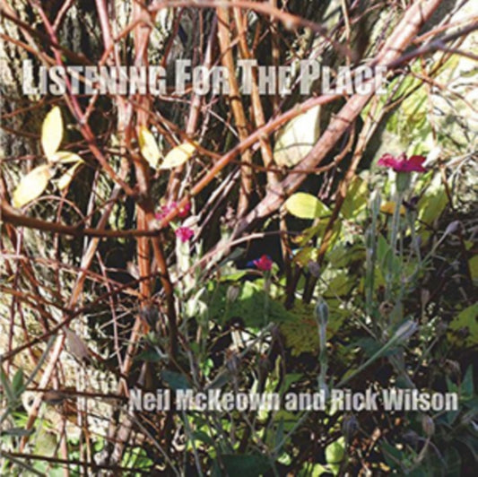 Neil Mckeown & Rick Wilson - Listening For The Place (CD)
