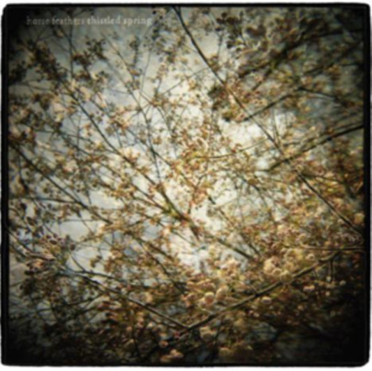 Horse Feathers - Thistled Spring (Vinyl)