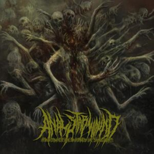 Anal Stabwound - Abstraction Bathes In Sunlight (CD)