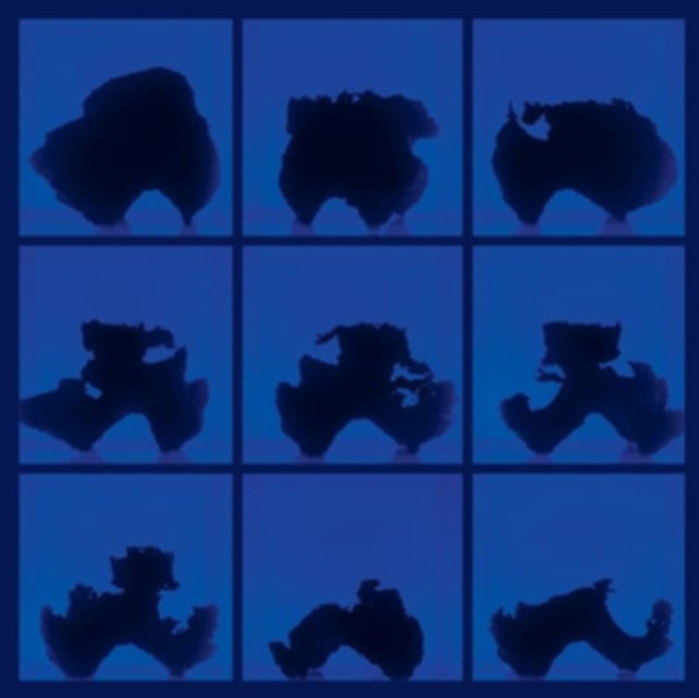 Birth (defects) - Fictional Days (Vinyl)