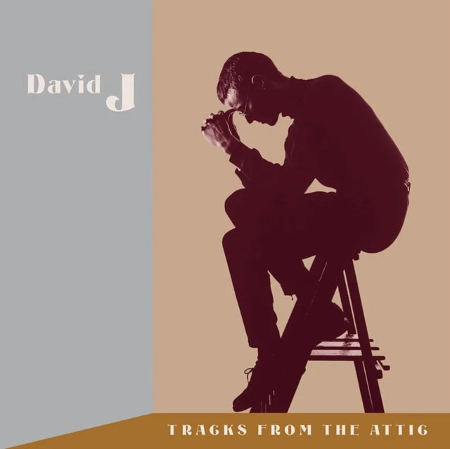 David J - Tracks From The Attic (RSD 2023) (Vinyl)