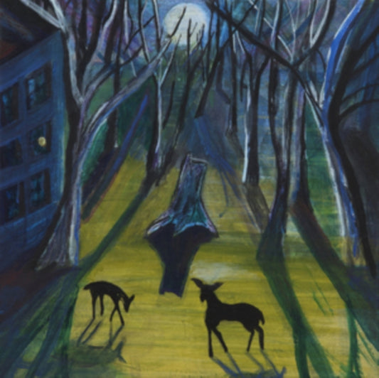 Donovan Quinn - Absalom (Vinyl)