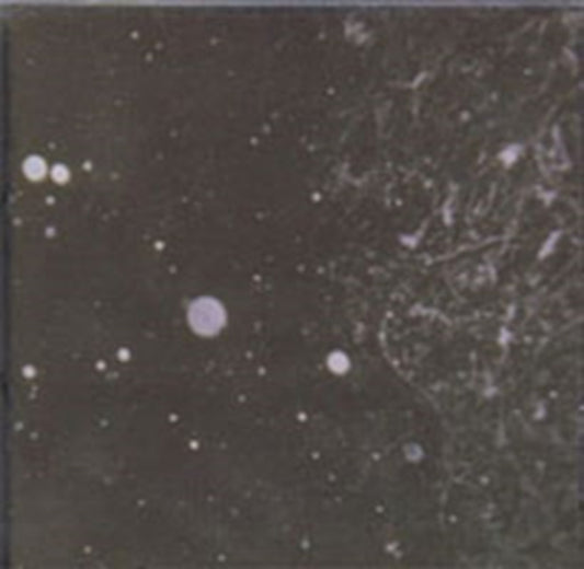Azrael - Into Shadows Act II:Through... (CD)