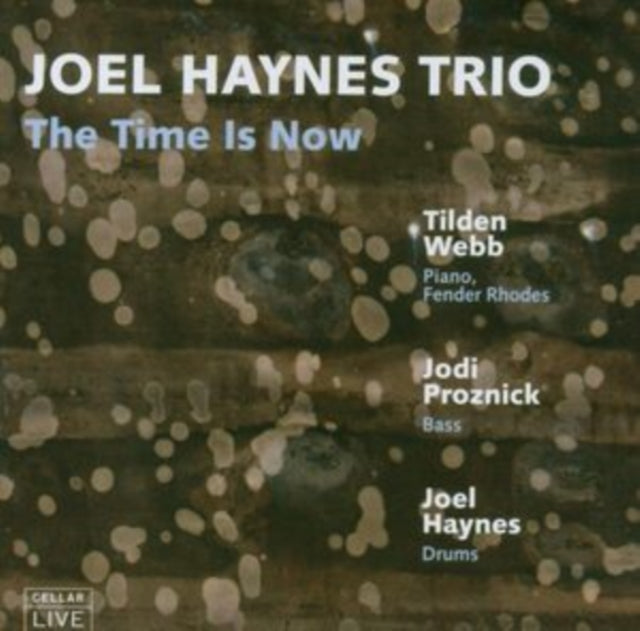 Joel Haynes - The Time Is Now (CD)