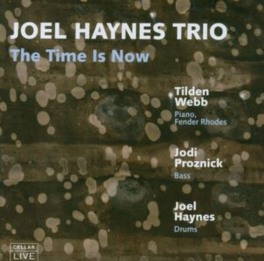 Joel Haynes - The Time Is Now (CD)