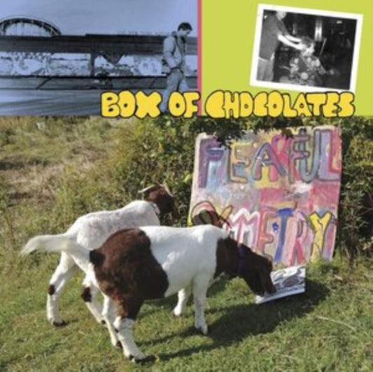 Box Of Chocolates - Fearful Symmetry (Vinyl)