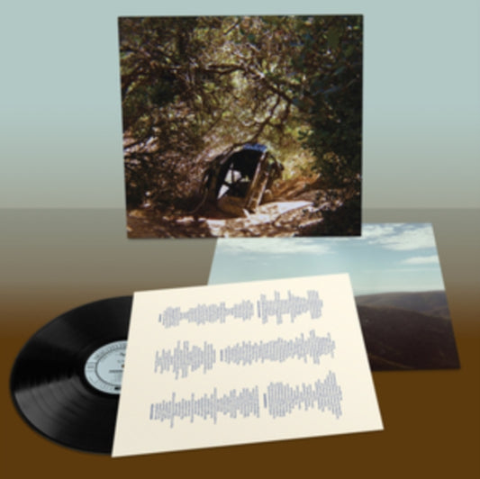 Ty Segall - Possession (Vinyl)
