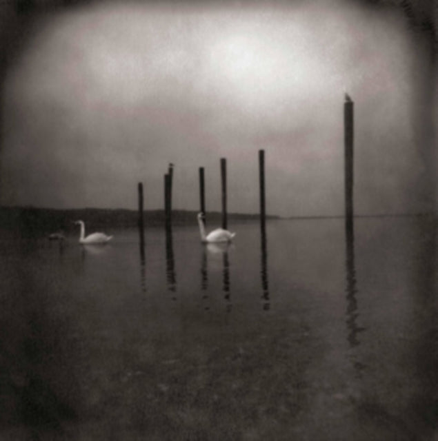 Om - Conference Of The Birds (Vinyl)