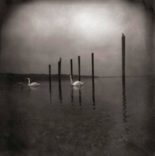 Om - Conference Of The Birds (Vinyl)