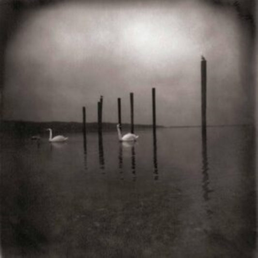 Om - Conference Of The Birds (CD)