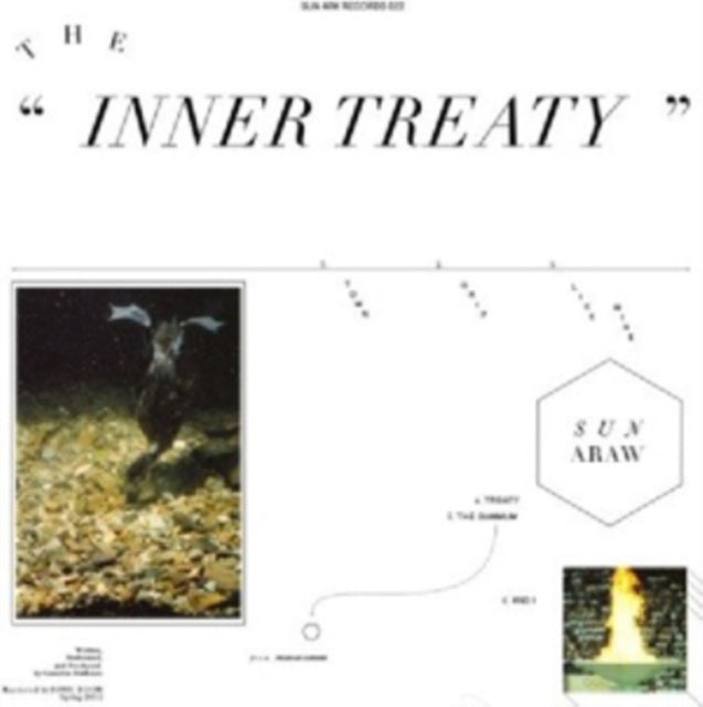 Sun Araw - The Inner Treaty (CD)