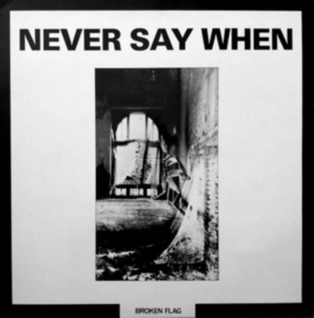 Various Artists - Never Say When (Vinyl)