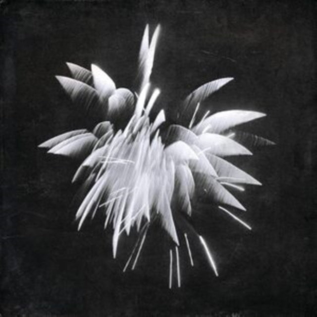 Brent Windler - New Morning Howl (Vinyl)
