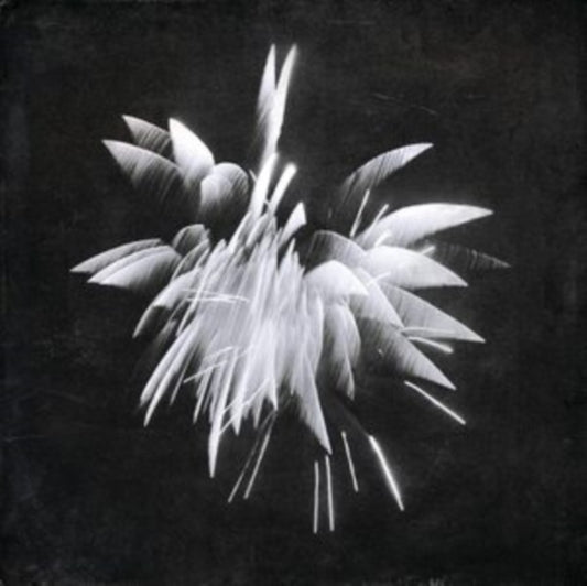 Brent Windler - New Morning Howl (Vinyl)