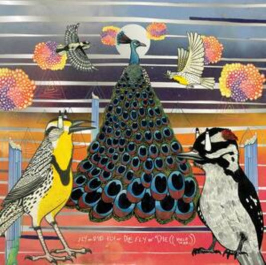 Jaimie Branch - Fly Or Die Fly Or Die Fly Or Die ((World War)) (CD)