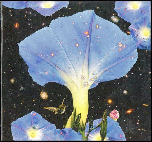 Sarah Louise - Nighttime Birds And Morning Stars (Vinyl)