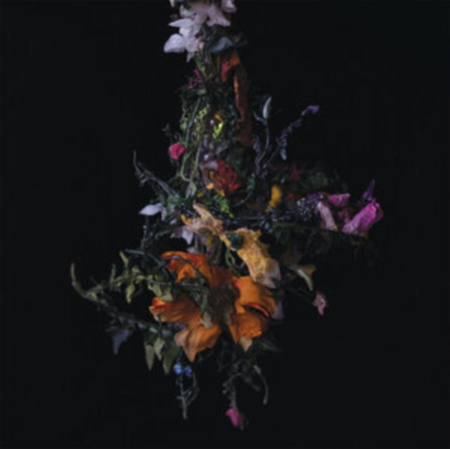 Big/Brave - Nature Morte (CD)