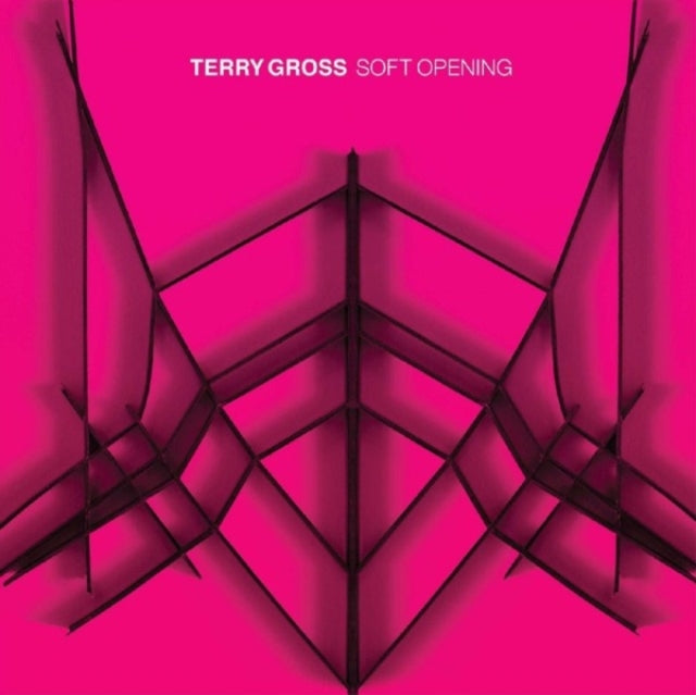 Terry Gross - Soft Opening (Translucent Blue Vinyl) (Vinyl)
