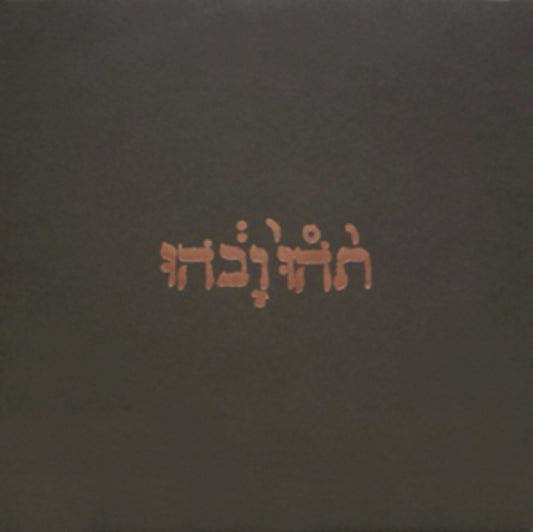 Godspeed You! Black Emperor - Slow Riot For New Zero Kanada Ep (CD)