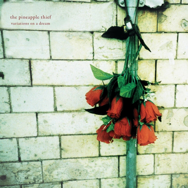 Pineapple Thief - Variations On A Dream (Vinyl)