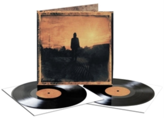 Steven Wilson - Grace For Drowning (Vinyl)