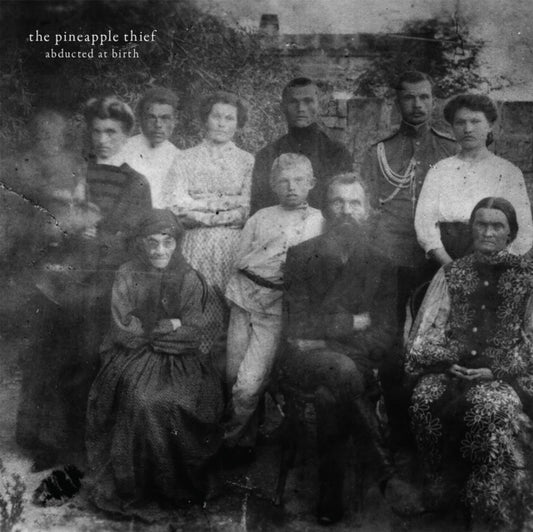 Pineapple Thief - Abducted At Birth (Vinyl)