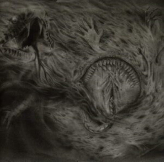 Nidsang - Into The Womb Of Dissolving Flames (CD)