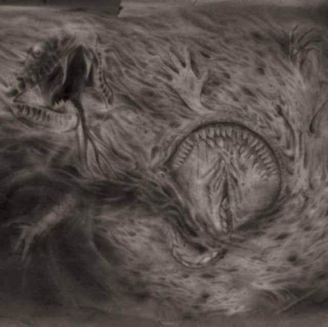 Nidsang - Into The Womb Of Dissolving Flames (Vinyl)