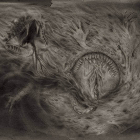 Nidsang - Into The Womb Of Dissolving Flames (Vinyl)