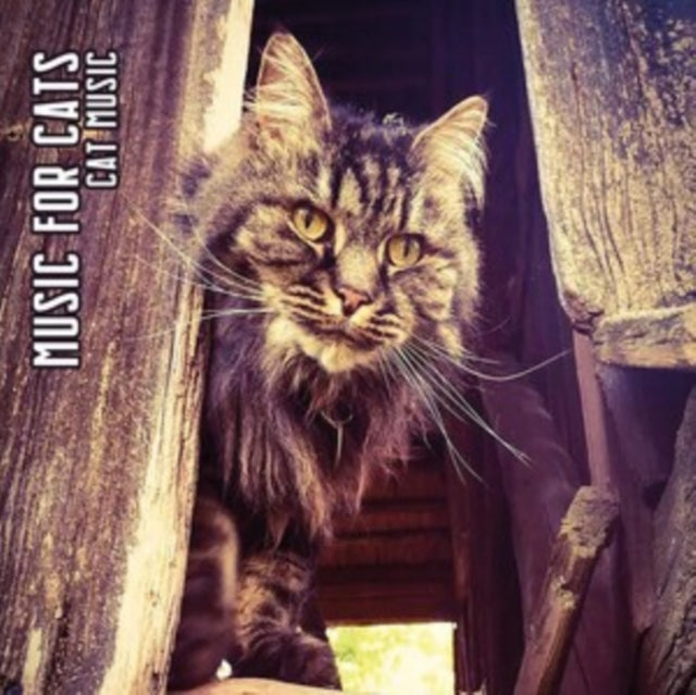 Music For Cats - Cat Music (Limited Edition) (Digi) (CD)