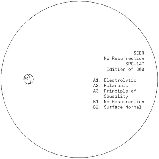 Seer - No Resurrection (Vinyl)