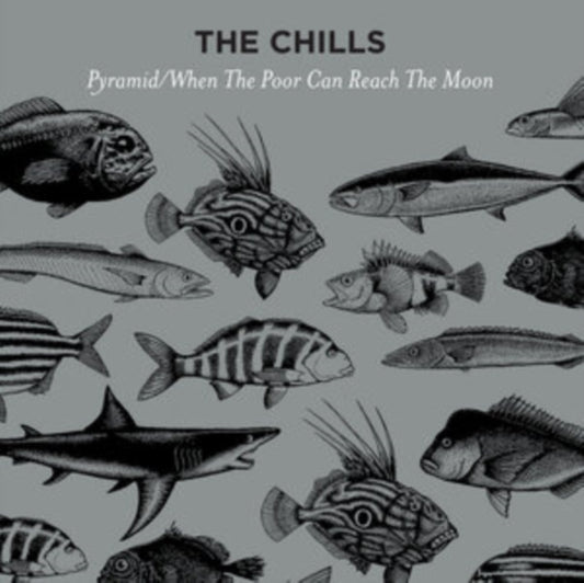 Chills - Pyramid (12 inch Vinyl)