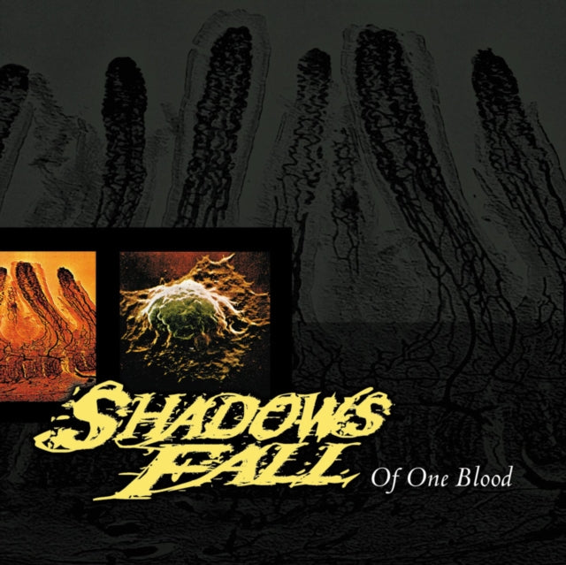 Shadows Fall - Of One Blood (Blood Red Vinyl) (Black Friday 2020) (Vinyl)