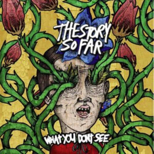 Story So Far - What You Don't See (Vinyl)