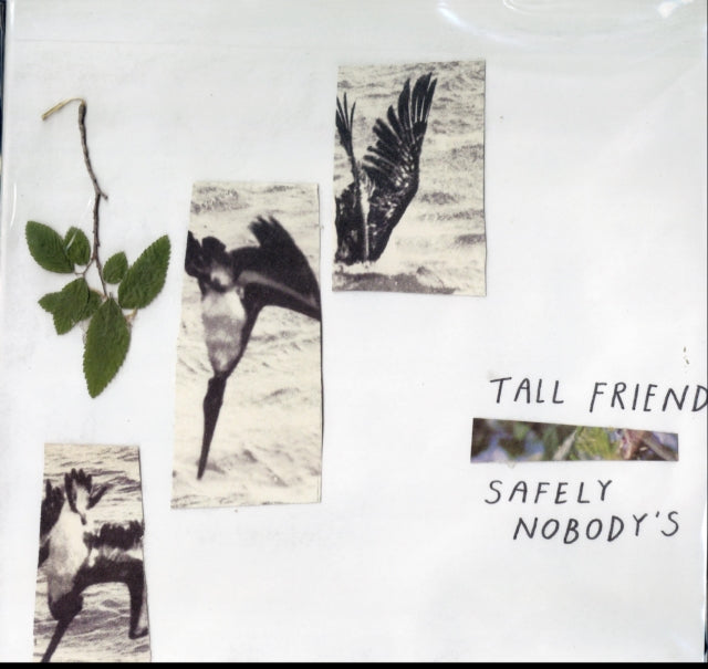 Tall Friend - Safely NobodyS (Vinyl)