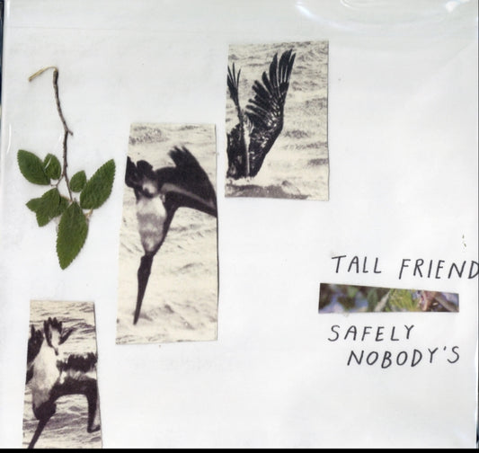 Tall Friend - Safely NobodyS (Vinyl)