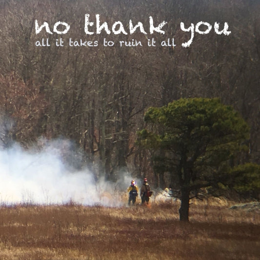 No Thank You - All It Takes To Ruin It All (Vinyl)