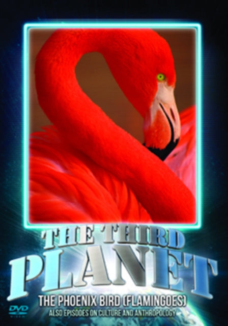 Third Planet The Phoenix Bird Flamingoes (DVD)
