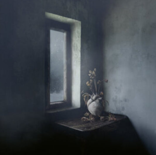Holissstik - Chapter 1: This Endless Solitude (Vinyl)